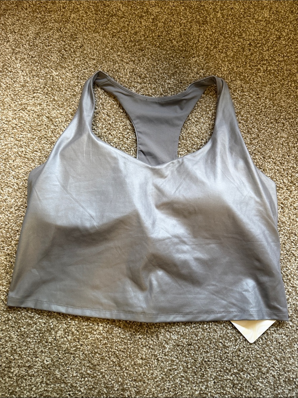 Fabletics Anywhere Shine Built in Bra Tank